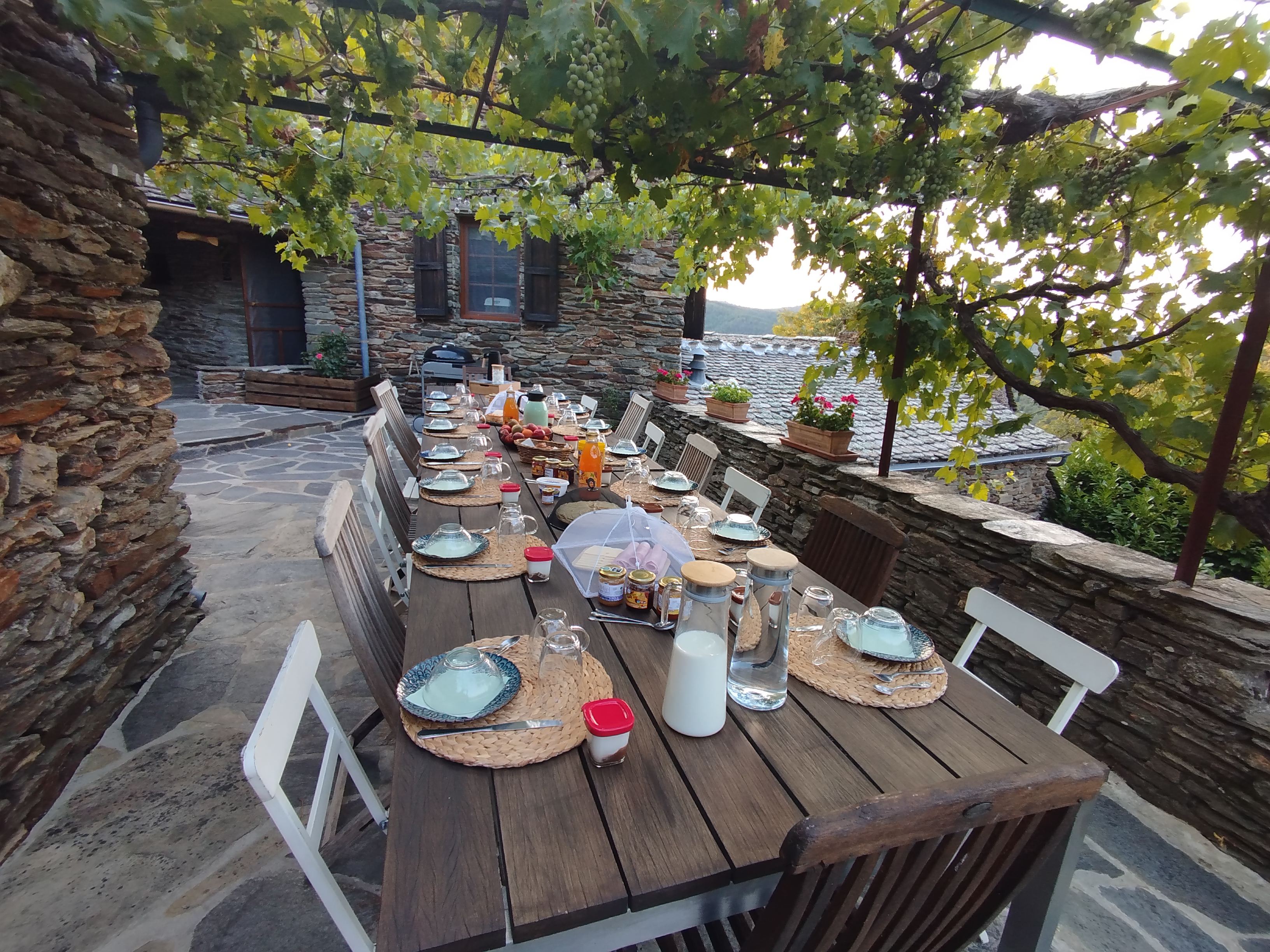 IMG_20250806_072513 - Copie.jpg