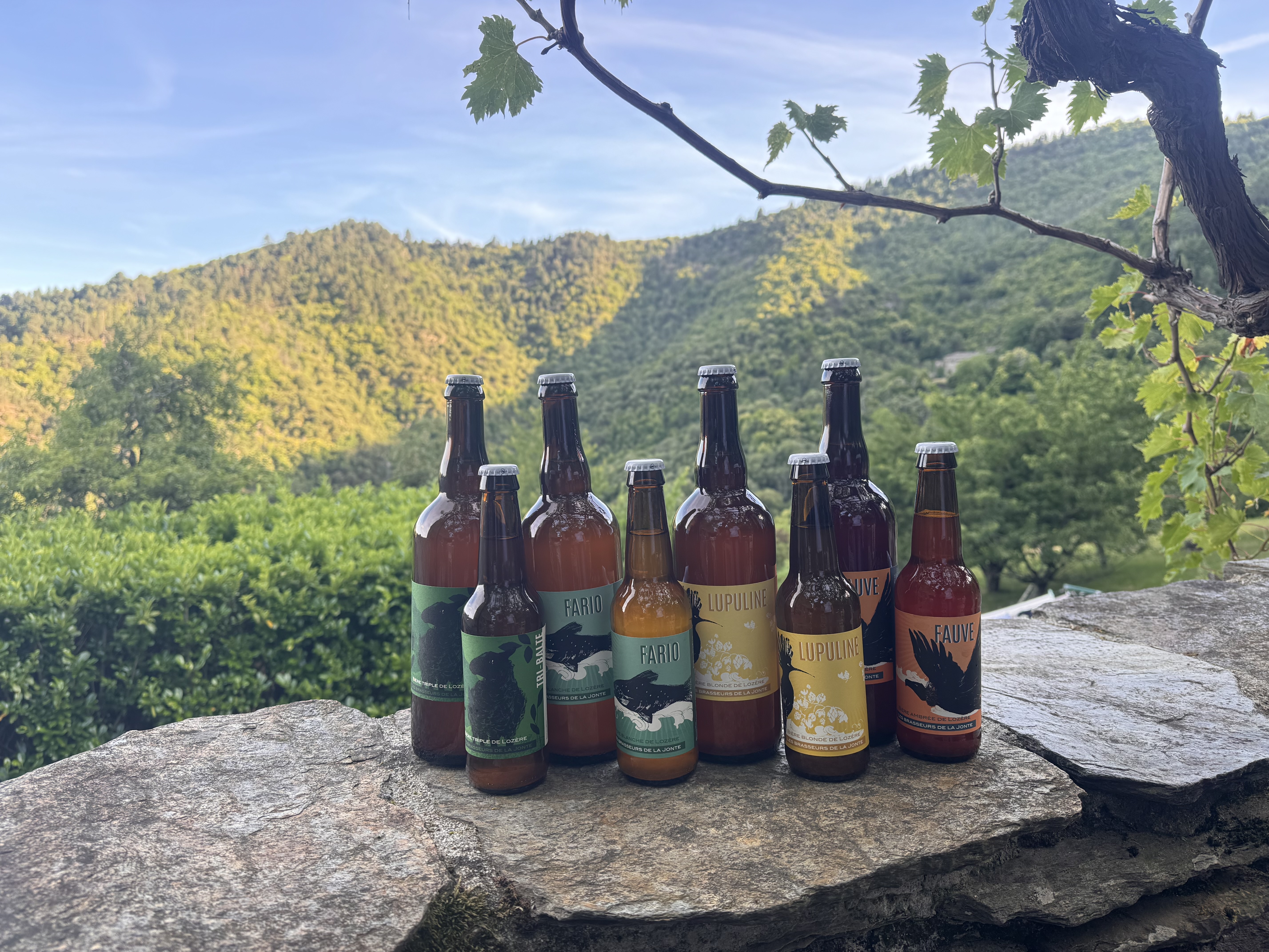LES BRASSEURS DE LA JONTE les hotes du chataignier